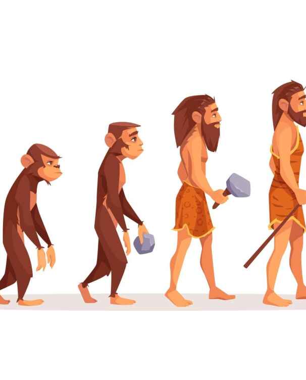 Sociology & Social Anthropology